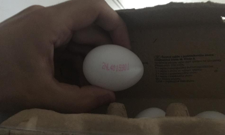 2018-6-1-1250veterina 1.JPG